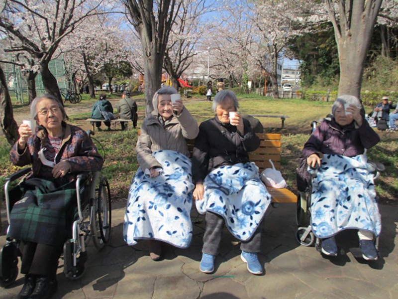 千葉・習志野 ぬくもり　桜満開！ 　足取り軽く